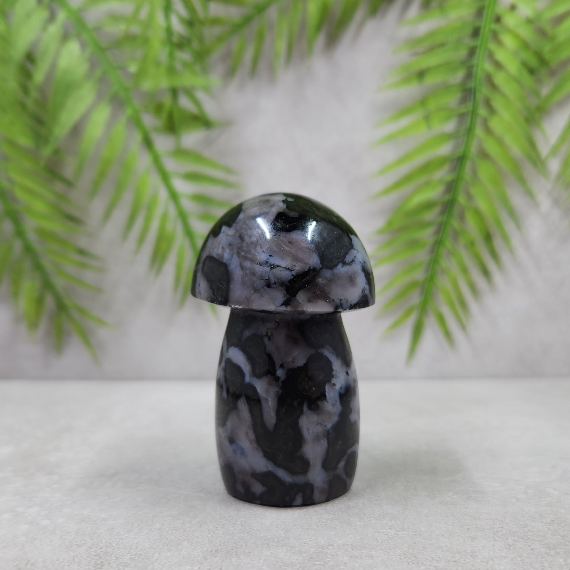 Indigo Gabbro Mushroom 130g