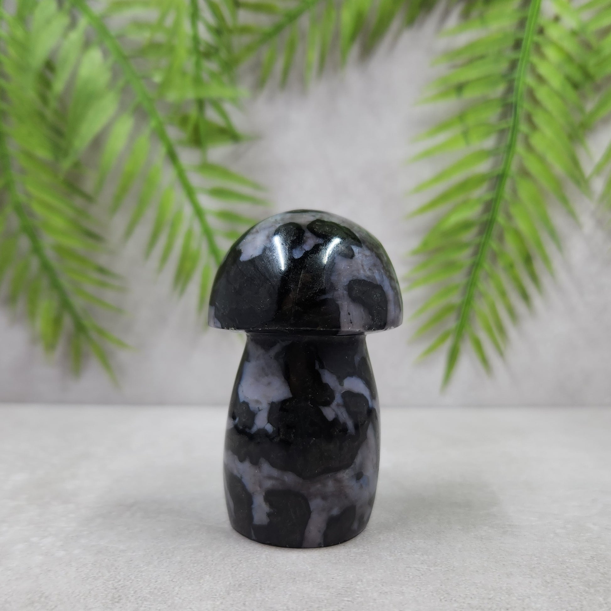 Indigo Gabbro Mushroom 130g