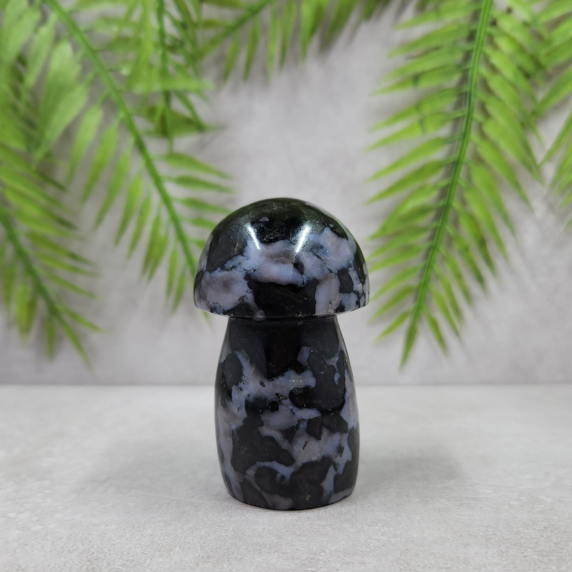 Indigo Gabbro Mushroom 130g