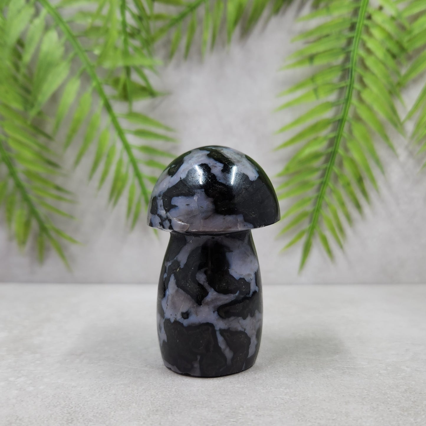 Indigo Gabbro Mushroom 130g