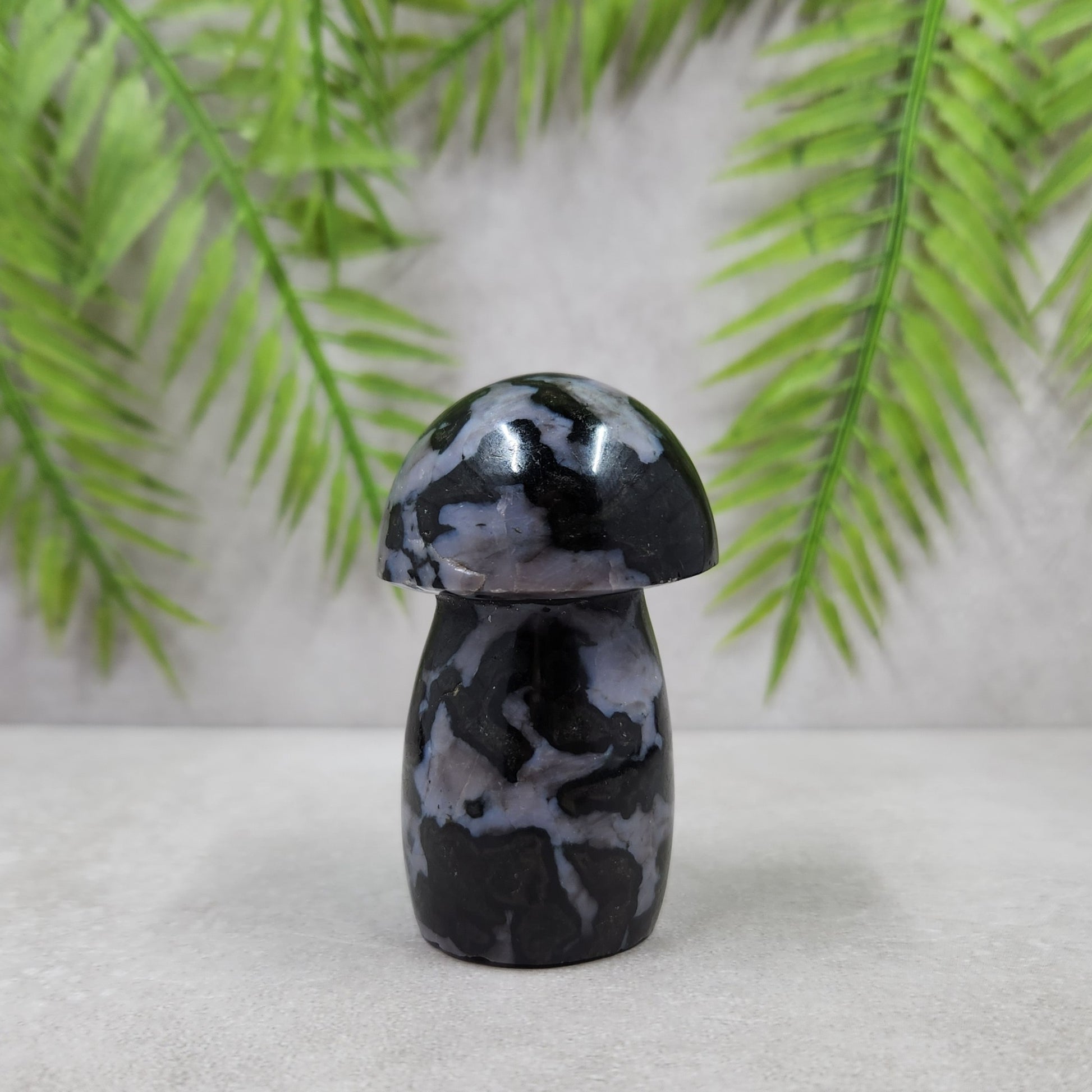 Indigo Gabbro Mushroom 130g