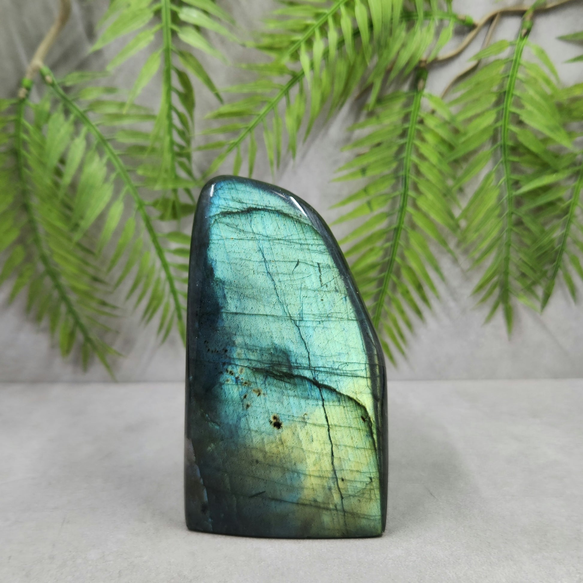 Labradorite Freeform 598g