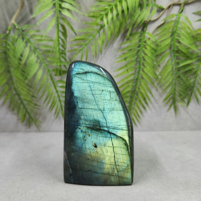 Labradorite Freeform 598g