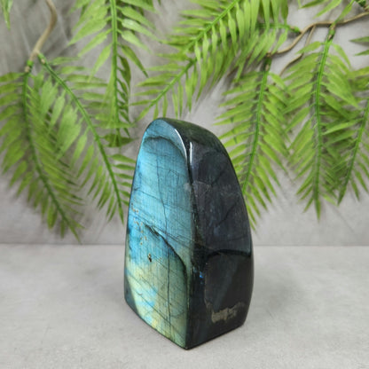 Labradorite Freeform 598g