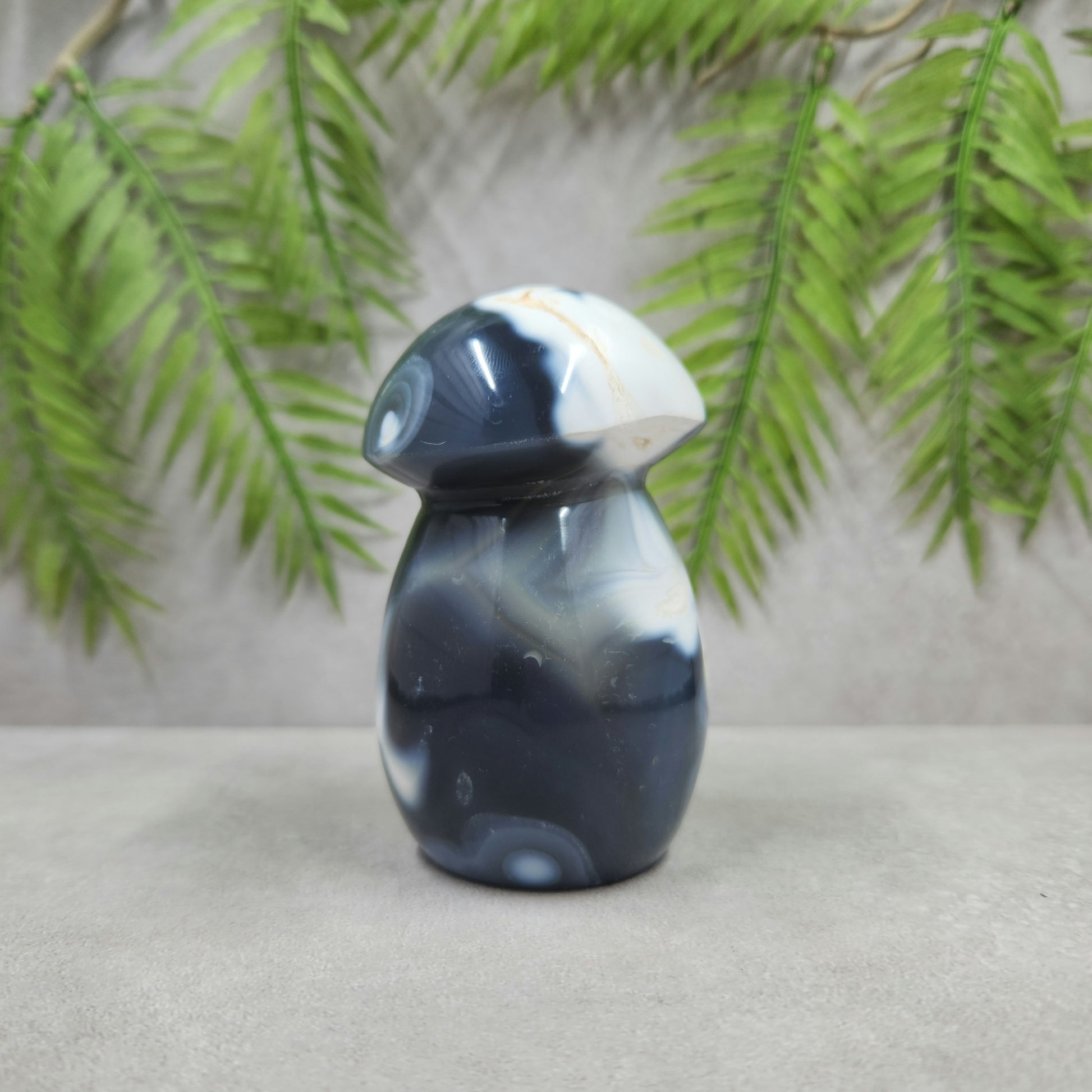 Orca Agate Mushroom 350g