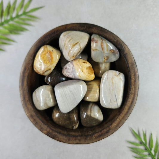 Petrified Wood Tumble