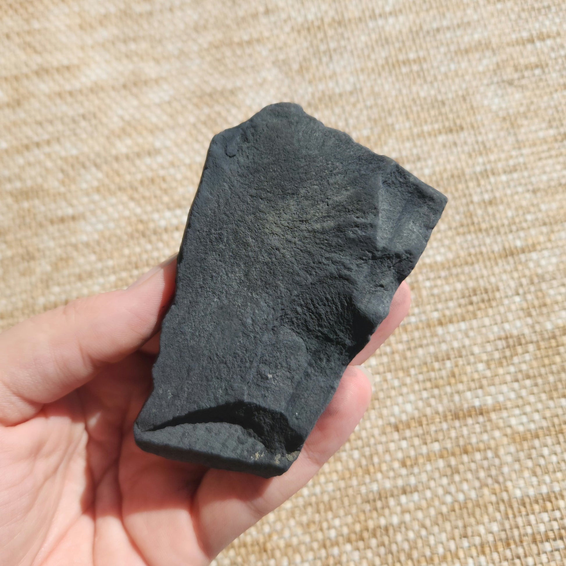 Pyrite on Shungite Rough 146g