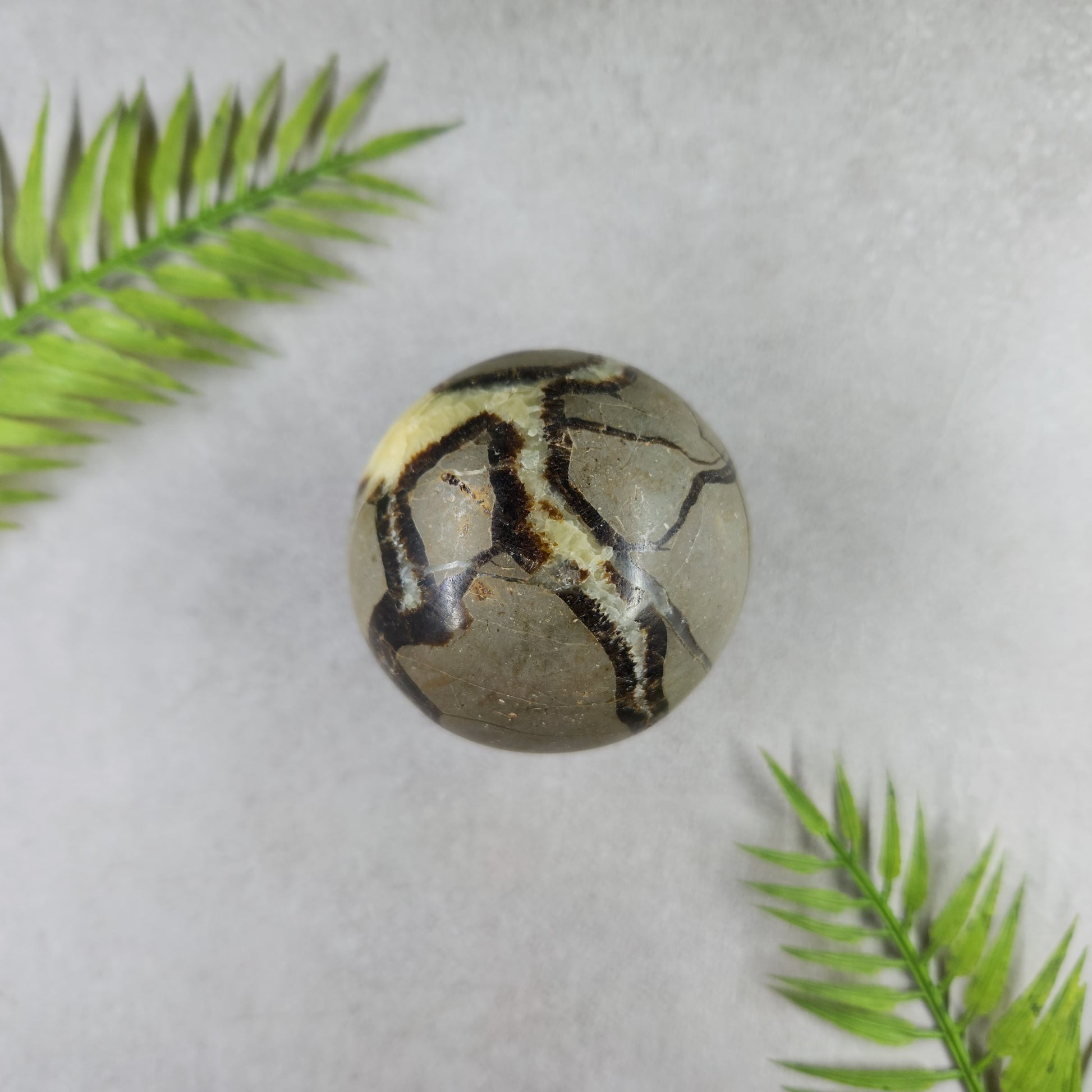 Septarian Sphere 248g