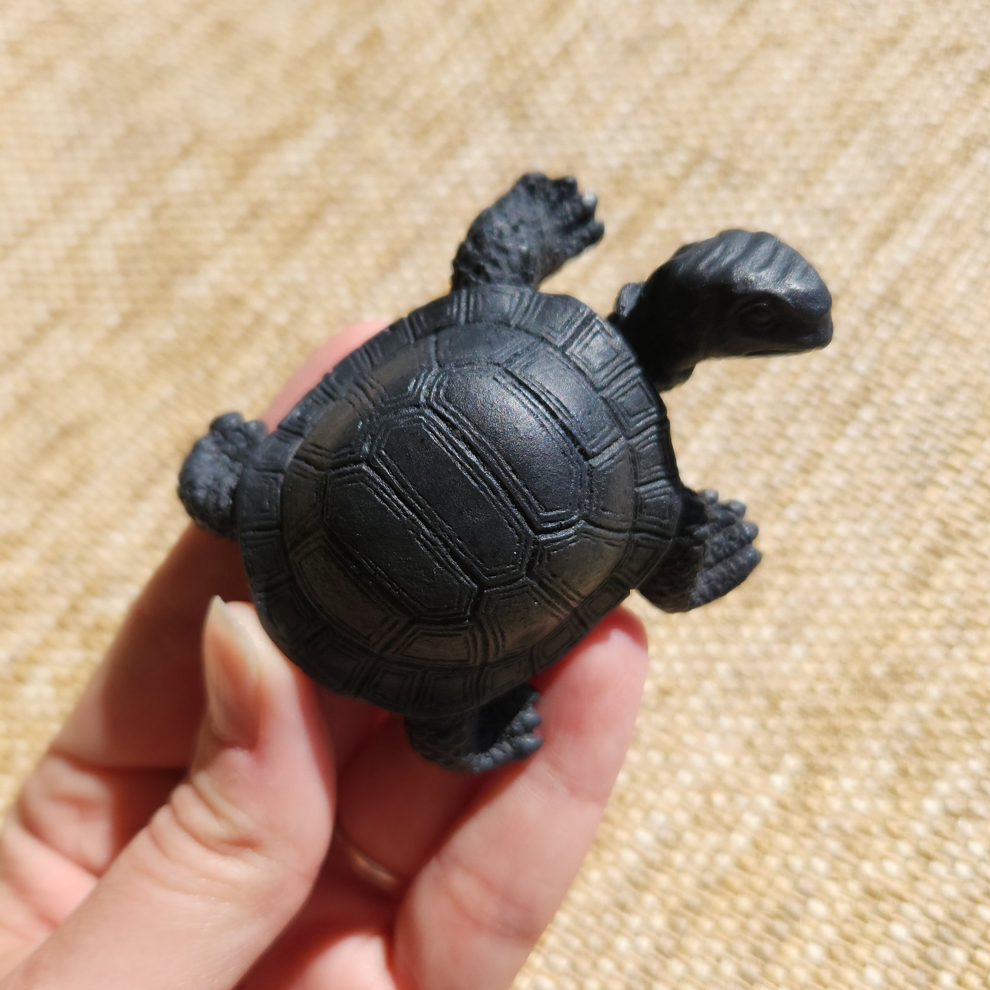 Shungite Turtle 45g