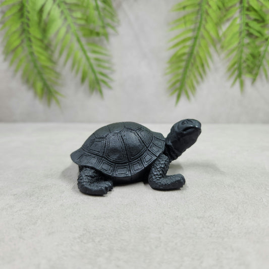 Shungite Turtle 45g