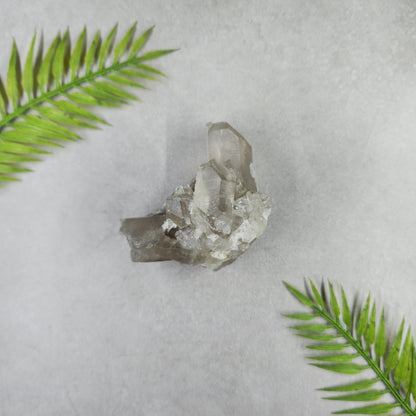 Smoky Quartz Cluster 166g