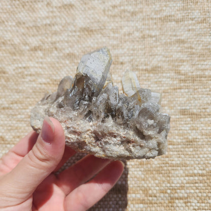 Smoky Quartz Cluster 295g