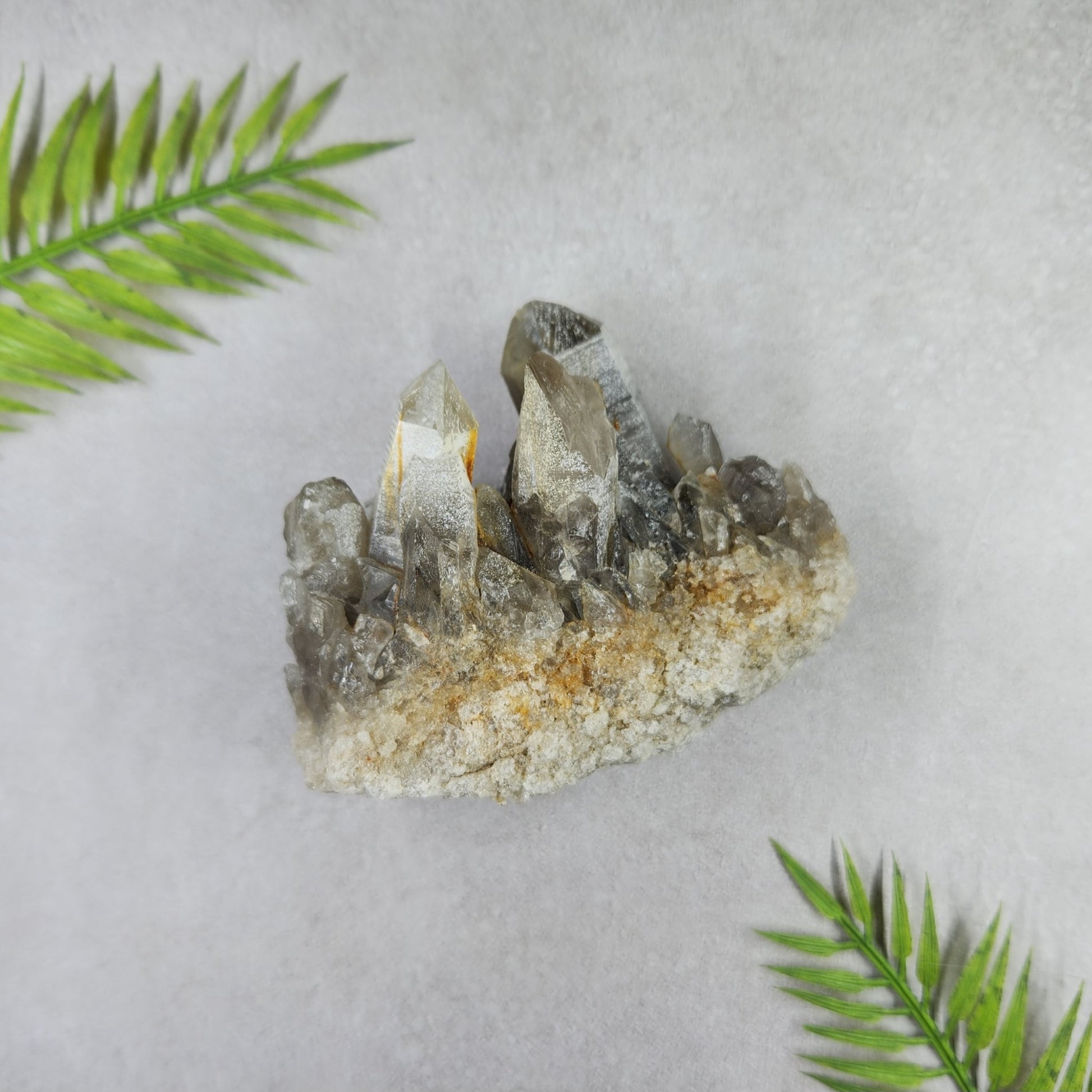Smoky Quartz Cluster 295g