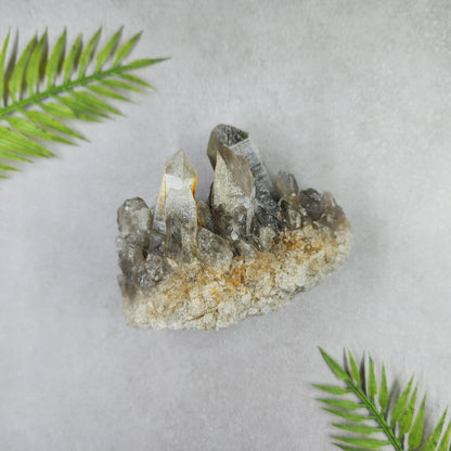 Smoky Quartz Cluster 295g
