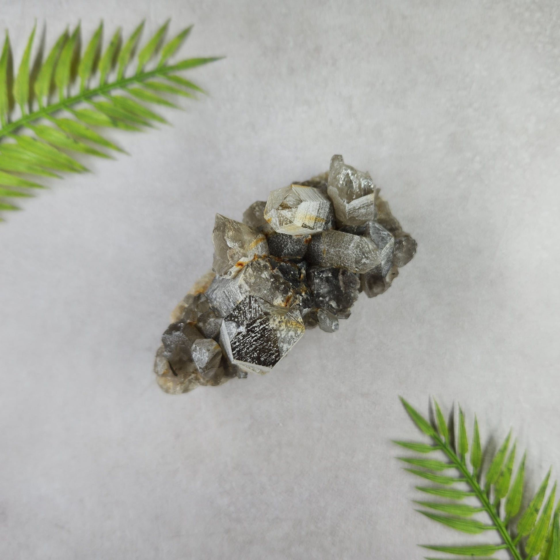 Smoky Quartz Cluster 295g
