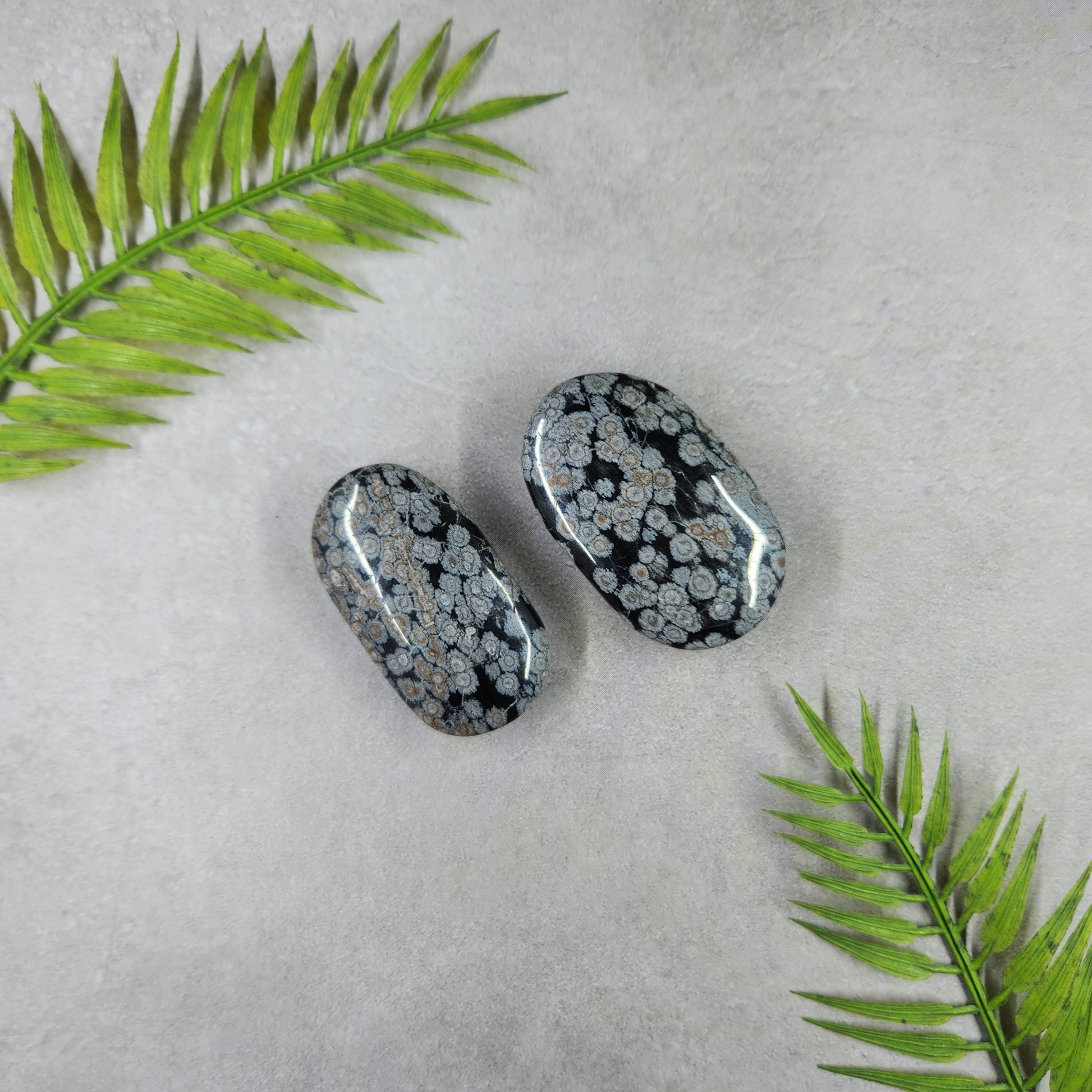 Snowflake Obsidian Palm Stone