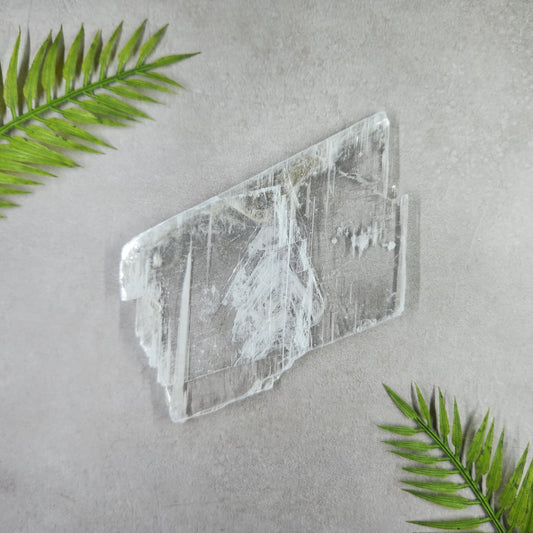 Selenite Slice - Transparent