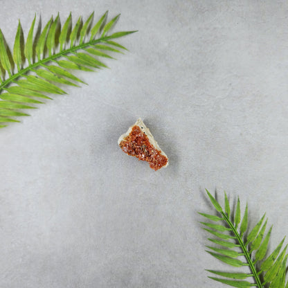 Vanadinite Cluster 24g