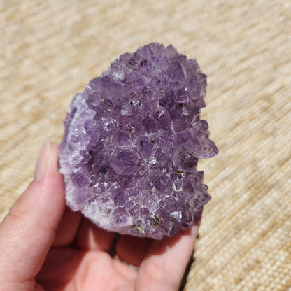 Amethyst Cluster 203g