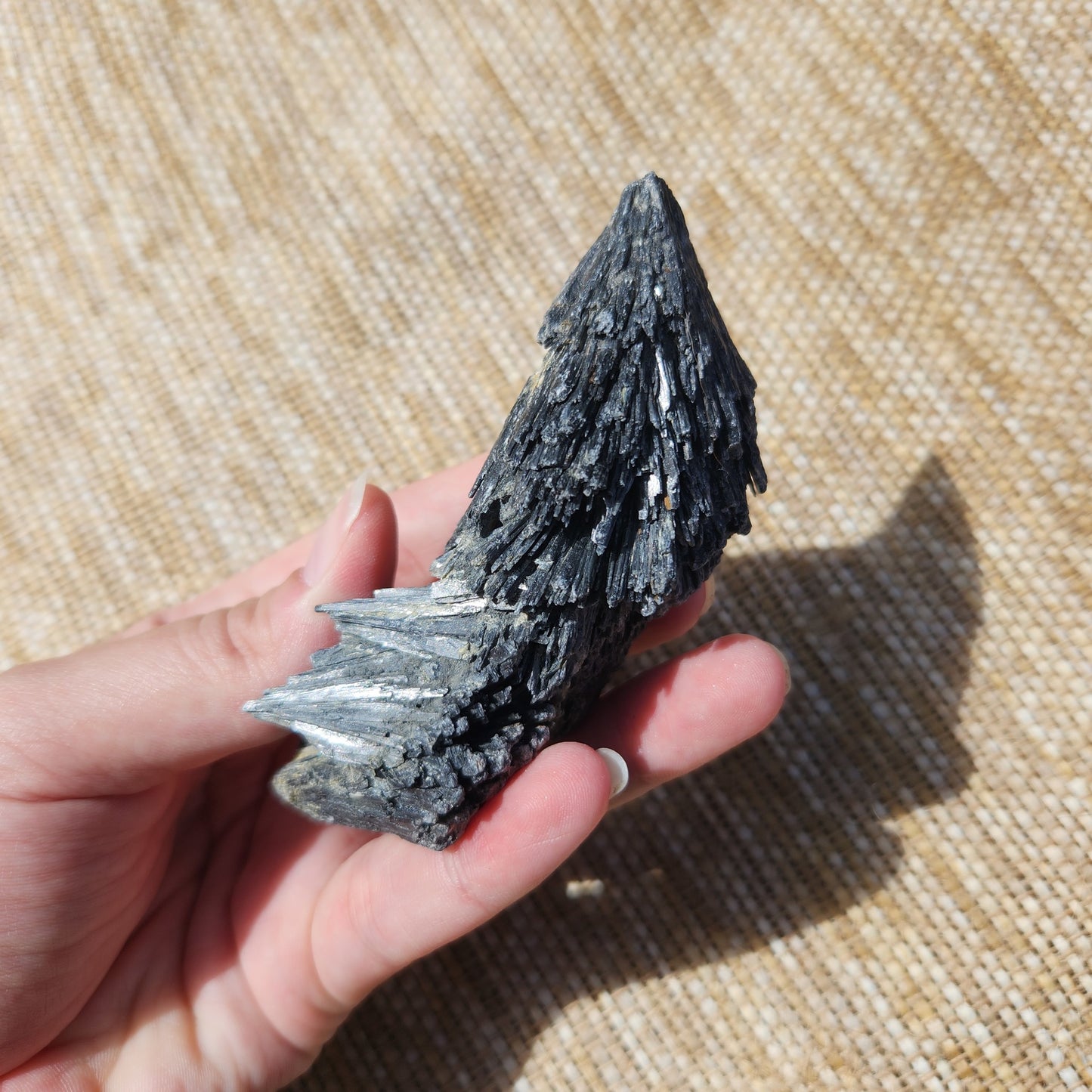 Black Kyanite 155g