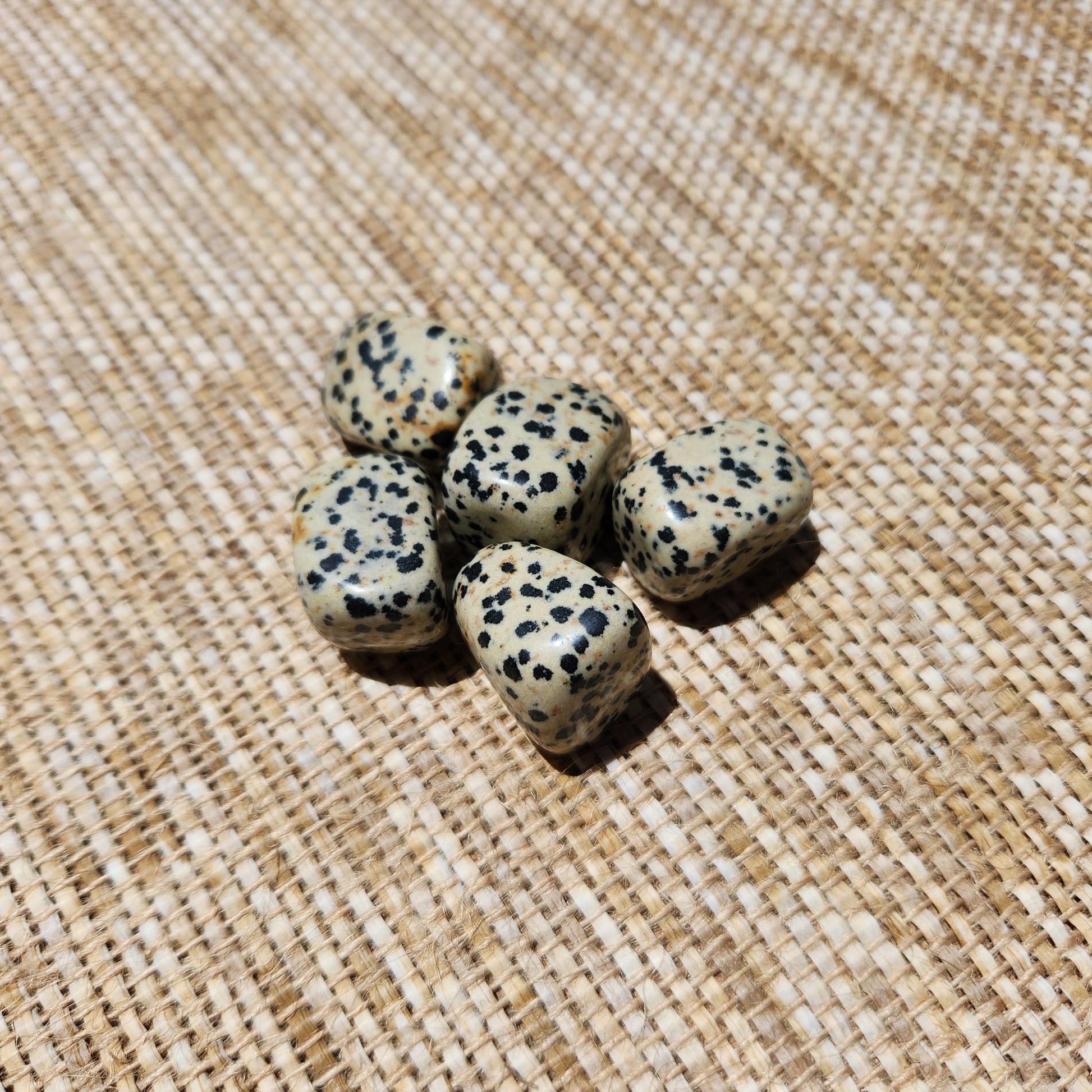 Dalmatian Jasper Tumble