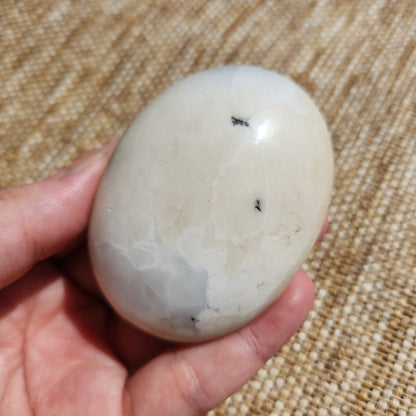 Dendritic Opal Palm Stone 146g