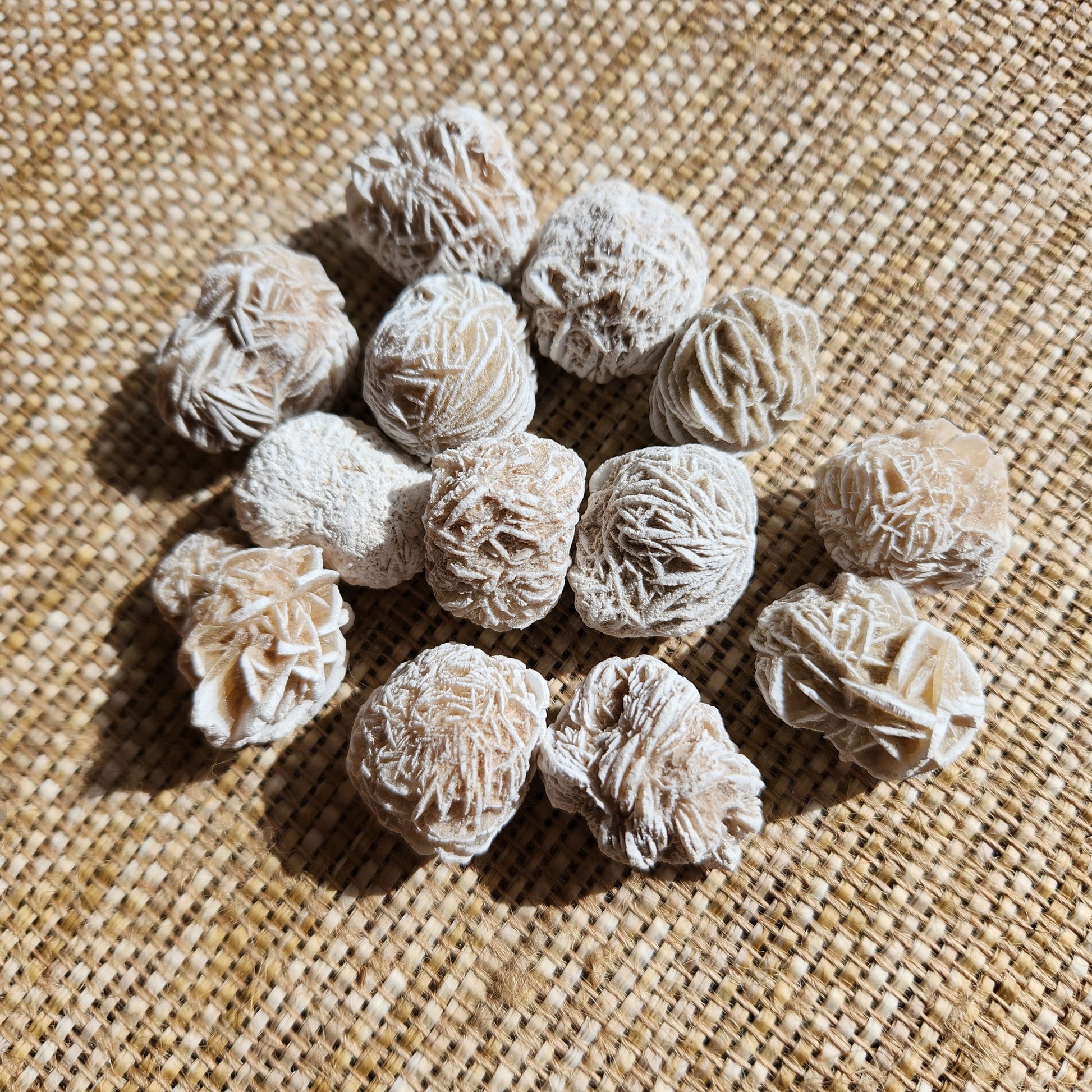 Desert Rose