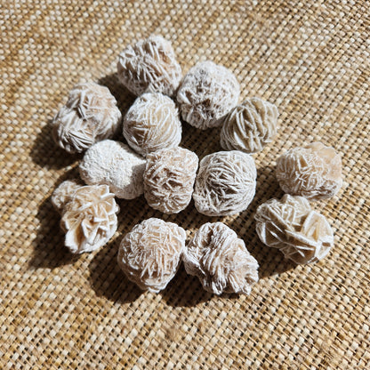 Desert Rose