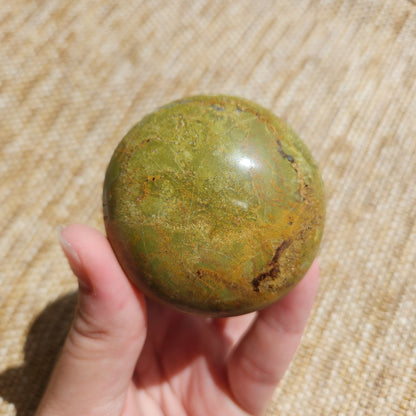 Green Opal Palm Stone Round 114g