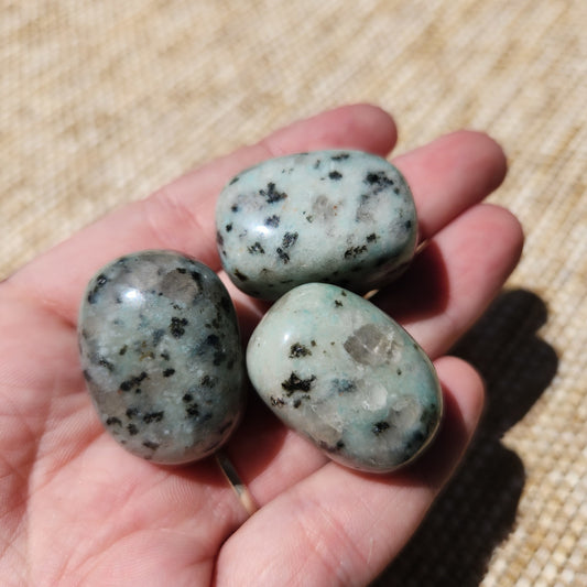 Kiwi Jasper Tumble