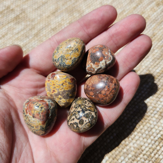 Leopard Skin Jasper Tumble