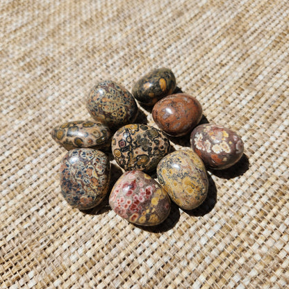 Leopard Skin Jasper Tumble