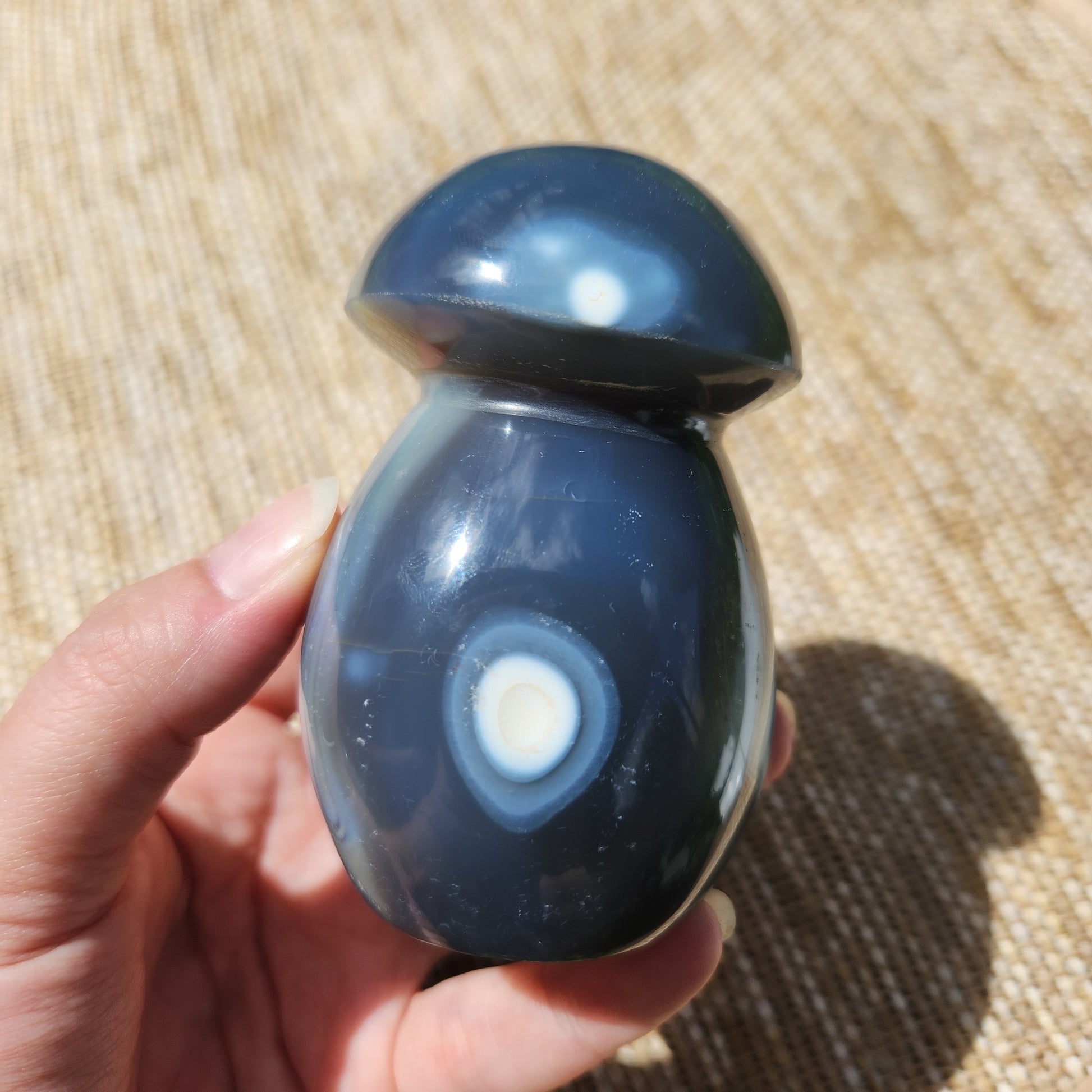 Orca Agate Mushroom 350g
