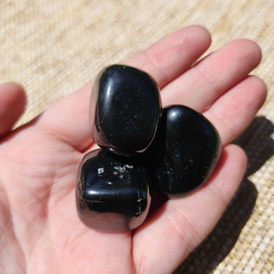 Shungite Tumble