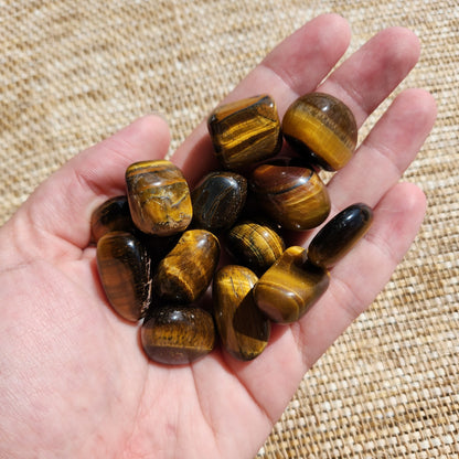 Tigers Eye Tumble